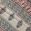 Beige And Rust Kalamkari Nakshi Border Saree
